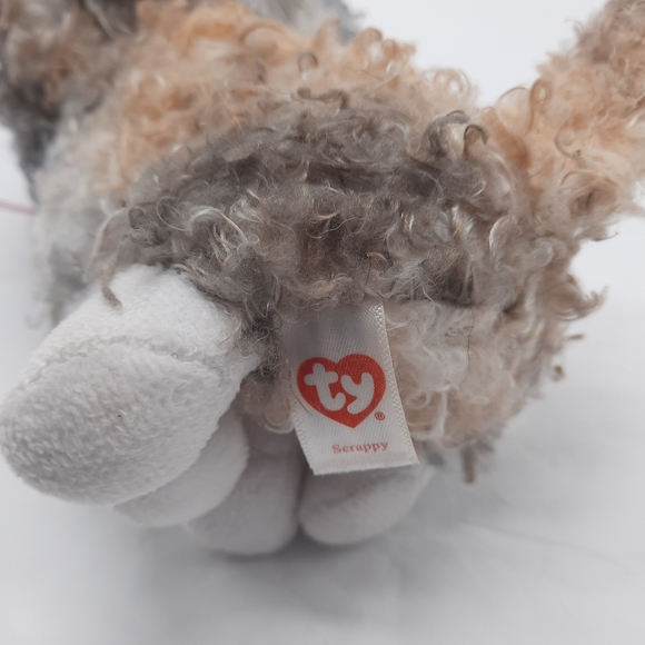 Ty Beanie Boos Scrappy Curly Haired Kitty Cat Stuffed Animal - Picture 5 of 8